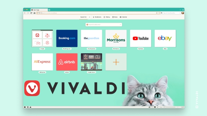 Vivaldi browser 5.0 update
